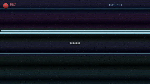 周末随拍记录 - 第九区高清下载 原创视频